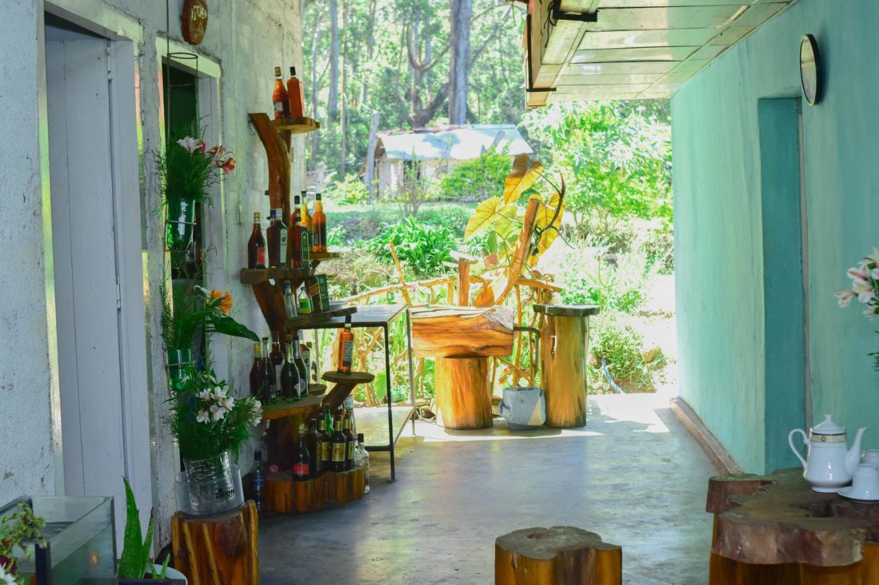 Ohiya Forest Lodge Eksteriør bilde